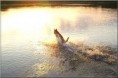 /album/fotogalerie-29-6-2010-koupani/pict0022-jpg/